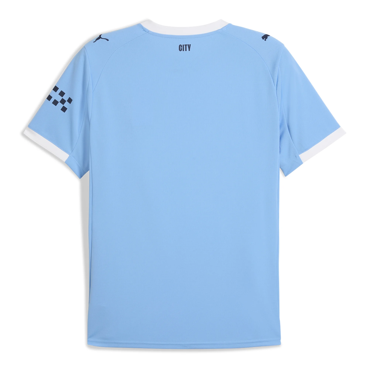 Puma Manchester City Home Jersey 25/26 (Team Light Blue/Puma White)
