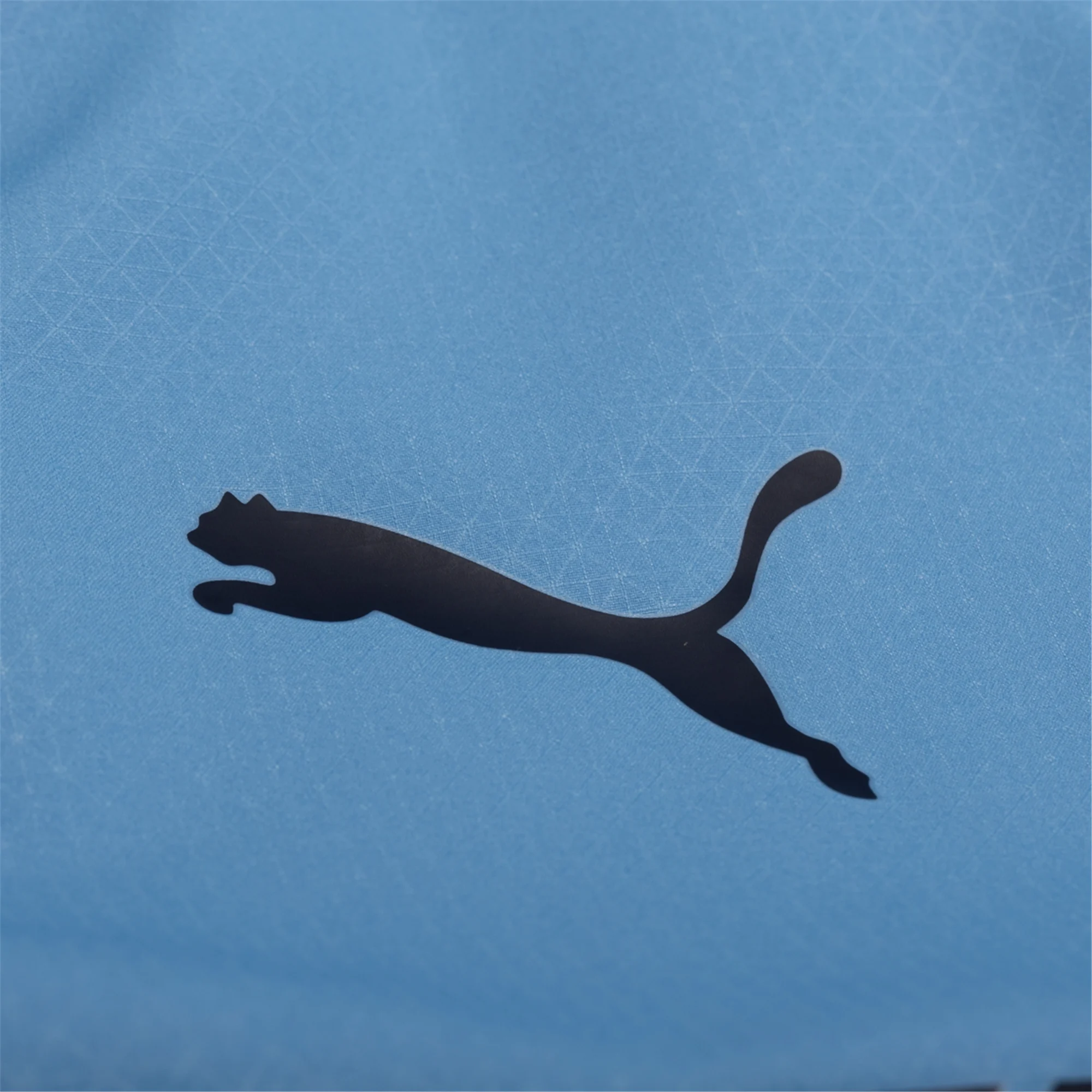 Puma Manchester City Authentic Matheus N. Home Jersey w/ Champions League Patches 25/26 (Team Light Blue/White)